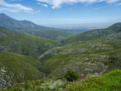View across the rolling green ridges of the Outeniqua Mountains with a section of the Outeniqua Pass road visible above a deep mountain valley.