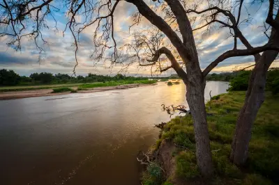 Golden evening light on the Limpopo River in the Mapungubwe region of northern Limpopo.