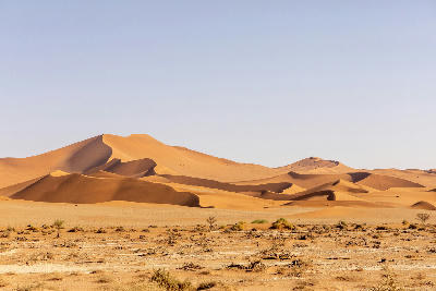 Layered sand dunes in Sossusvlei, Namibia, with open desert foreground and soft morning light across the Namib Desert.