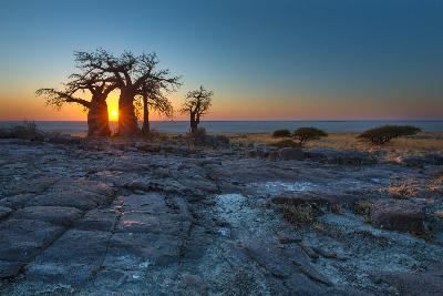 Baobab trees and granite outcrops on Kubu Island overlooking the Makgadikgadi salt pans at sunrise in Botswana.