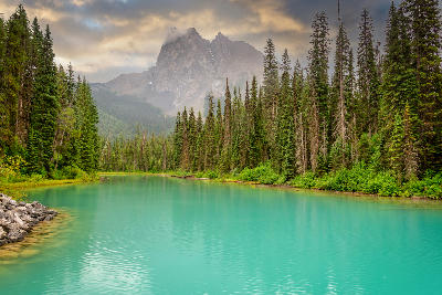 Aerial view of Mistaya Canyon cutting through dense forest with a river flowing beneath a bridge in Banff National Park