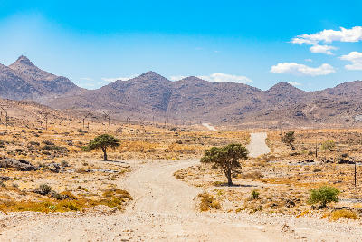 A winding gravel road crosses the desert plains of Richtersveld National Park, framed by rugged mountains and sparse vegetation in the Northern Cape.