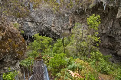 Visitor walkway through limestone cliffs and dense vegetation at the exit of Mammoth Cave near Margaret River, Western Australia.