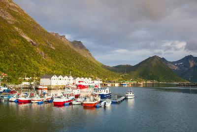 Fishing boats in Senjahopen harbour with fjord water and steep green mountains on Senja island Norway
