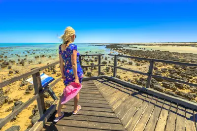 Visitor walking along the wooden boardwalk overlooking stromatolite formations at Hamelin Pool.