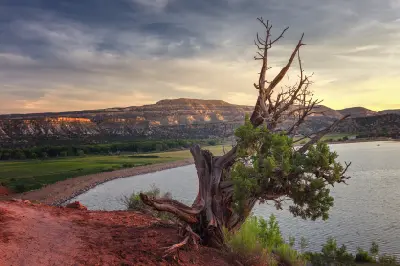 Juniper tree overlooking Wide Hollow Reservoir and the layered desert hills surrounding Escalante Petrified Forest State Park.