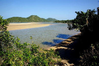 Tidal channel, sandbanks and coastal dune forest at Kosi Bay Mouth in iSimangaliso Wetland Park, KwaZulu-Natal, South Africa.