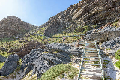 Wooden stairway and boardwalk descending the cliffs toward Dias Beach at Cape Point in Table Mountain National Park, South Africa.