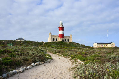 Cape Agulhas Lighthouse above coastal fynbos and sandy pathway at the southernmost point of Africa, South Africa.