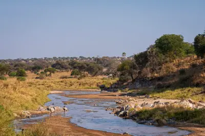 The Tarangire River flowing through rocky riverbanks and acacia savanna in Tarangire National Park, Tanzania.