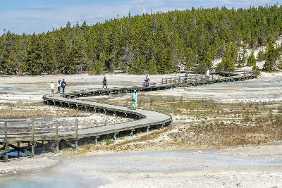 Boardwalk Norris Geyser Basin Yellowstone visitors geothermal landscape thermal area Wyoming USA