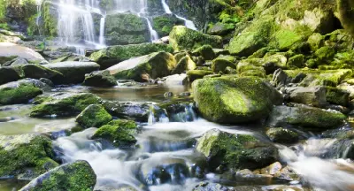 Cascading water flowing through moss-covered rocks below Nelson Falls, Tasmania.