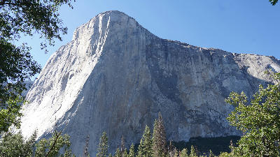 El Capitan Yosemite National Park towering granite wall above forest seen from ground level.