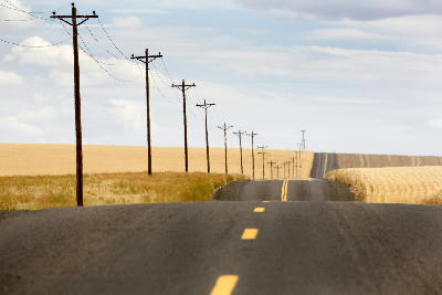 Rolling road with telephone poles through wheat fields in the Palouse region of Washington State