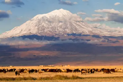 Sheep grazing on the high plains beneath the snow-covered slopes of Mount Ararat in Eastern Turkey.