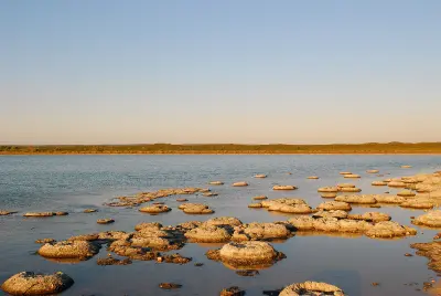 Stromatolite formations spread through the shallow blue waters of Lake Thetis.