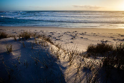 Sand dunes and beach grass overlooking the Atlantic Ocean at Groenriviersmond on the Namaqualand coast.