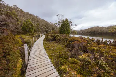 Calm waters of Lake Dobson surrounded by pandani and dense native vegetation in Mount Field National Park, Tasmania.