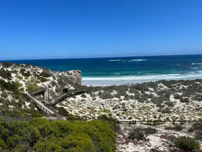 Elevated wooden visitor boardwalks crossing coastal dunes towards the beach and blue ocean at Seal Bay, Kangaroo Island, South Australia.