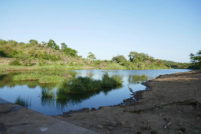 Pioneer Dam near Mopani Rest Camp in Kruger National Park, with calm water, grassy islands and riverine vegetation under a clear blue sky.