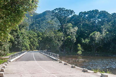 Bridge crossing the Groot River beneath ancient yellowwood forest in Nature's Valley, Garden Route, South Africa.