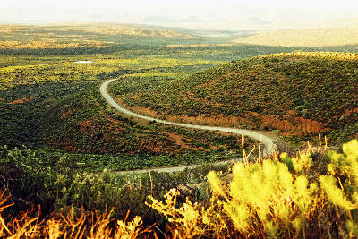 Winding road through the scrub-covered hills and valleys of the Kamiesberg region in Namaqualand, Northern Cape, South Africa.
