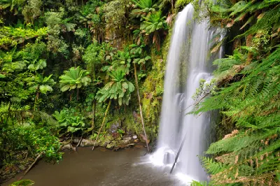 Beauchamp Falls cascading through dense fern-filled rainforest in Great Otway National Park, Victoria.