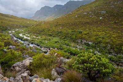 Palmiet River flowing through the mountain and fynbos landscapes of the Kogelberg Biosphere Reserve, Western Cape, South Africa