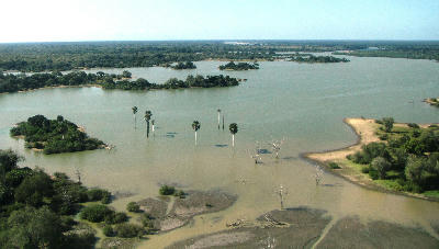 Aerial view of Lake Manze in Nyerere National Park showing flooded islands, Borassus palms and seasonal wetlands.