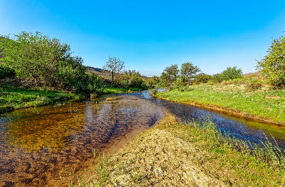 Clear waters of the Biedouw River flowing through riparian vegetation in the Biedouw Valley of the northern Cederberg.
