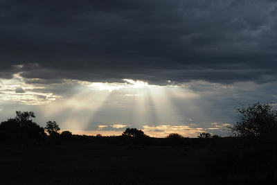 Sun rays shining through storm clouds over Botswana's Tuli Block, illustrating the dramatic skies and changing weather of the Limpopo Valley landscape.