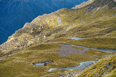 Alpine tarns and tussock plateau in Nelson Lakes National Park above Parachute Rocks in New Zealand.