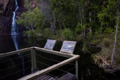 Wooden viewing platform with wildlife information signs beside the plunge pool at Wangi Falls, with a waterfall and tropical woodland in the background.