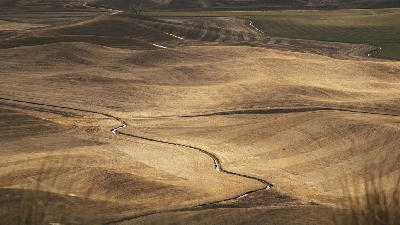 Rolling brown farmland hills with winding contour lines in the Palouse region of Washington State