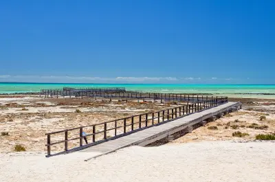 Wooden boardwalk crossing the shoreline at Hamelin Pool toward the shallow turquoise waters.