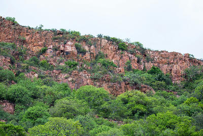 Red sandstone cliff overlooking bushveld vegetation in the Soutpansberg Valley near Louis Trichardt, Limpopo, South Africa.