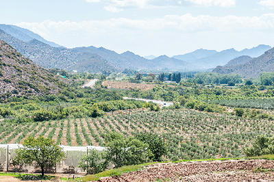 Agricultural valley landscape near Prince Albert beneath the Swartberg Mountains in the Klein Karoo of South Africa.