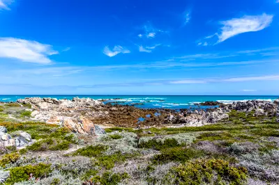 Rocky Cape Agulhas coastline with coastal fynbos and open ocean beneath a bright blue sky in South Africa.