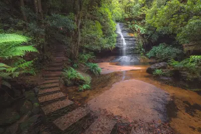 Stone stepping stones cross Gordon Creek towards Pool of Siloam waterfall in the lush rainforest of the Valley of the Waters, Blue Mountains National Park, Australia.