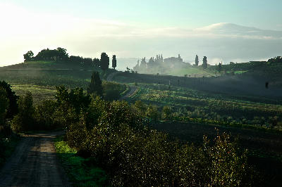 Early morning mist lifting over rolling hills and a winding country road near Torrenieri in Tuscany, Italy.