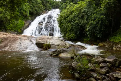 The main cascade of Debengeni Falls tumbles over granite rock formations beneath a canopy of indigenous forest, creating one of Limpopo's most photogenic waterfall landscapes.