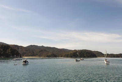 Anchored sailboats in the calm waters of Anchorage Bay, Abel Tasman National Park, South Island, New Zealand.