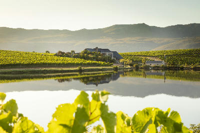 Creation Wines tasting room and vineyards reflected in a pond within the Hemel-en-Aarde Valley wine region near Hermanus, South Africa.