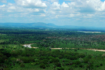 Aerial view of the Rufiji River winding through the forests and floodplains of Nyerere National Park, Tanzania.