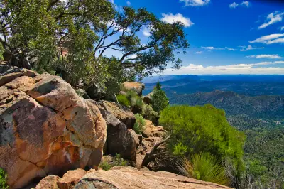 Sandstone boulders and native trees at Tanderra Saddle on the St Mary Peak hike, overlooking mountain ridges near Wilpena Pound, Flinders Ranges.