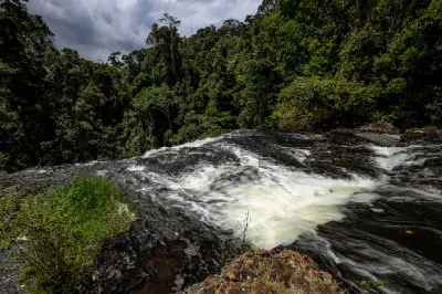 Water flowing over dark volcanic rock towards the brink of Zillie Falls, with dense tropical rainforest covering the gorge beyond.