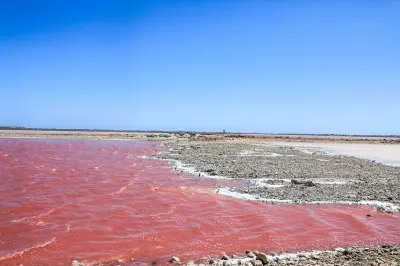 Vivid pink water and salt-crusted shoreline at Hutt Lagoon near Port Gregory.