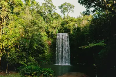 Millaa Millaa Falls cascading into a dark pool surrounded by tropical rainforest on the Atherton Tablelands, Queensland.