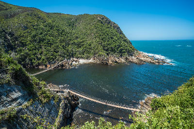 Suspension bridges crossing Storms River Mouth beneath forested cliffs and rugged coastline in Tsitsikamma National Park, Garden Route, South Africa.