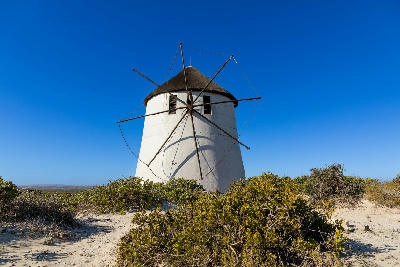 White windmill with a thatched roof at Club Mykonos resort in Langebaan, surrounded by coastal vegetation under a clear blue sky.